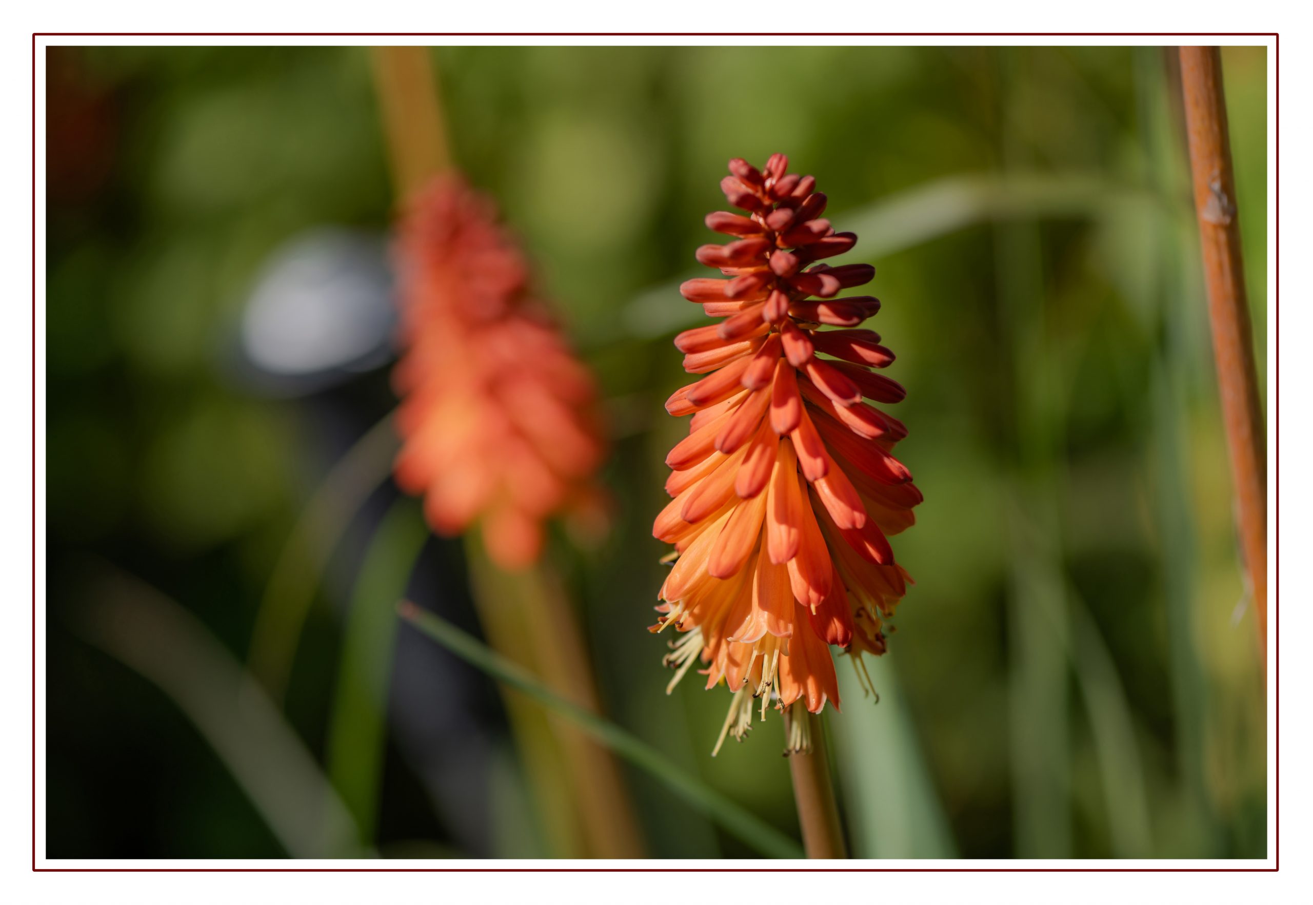 How Your Camera Sees