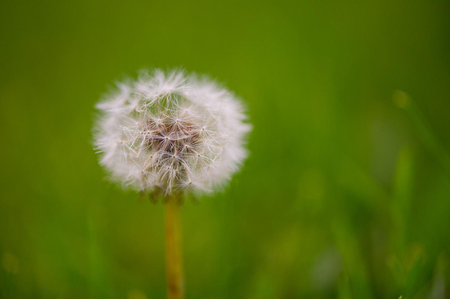 Milton Photo Club Photowalk