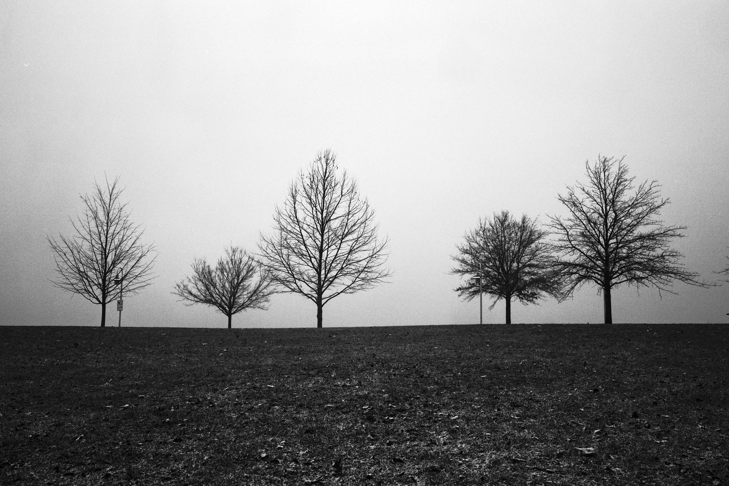 Long Exposure Winter Landscapes