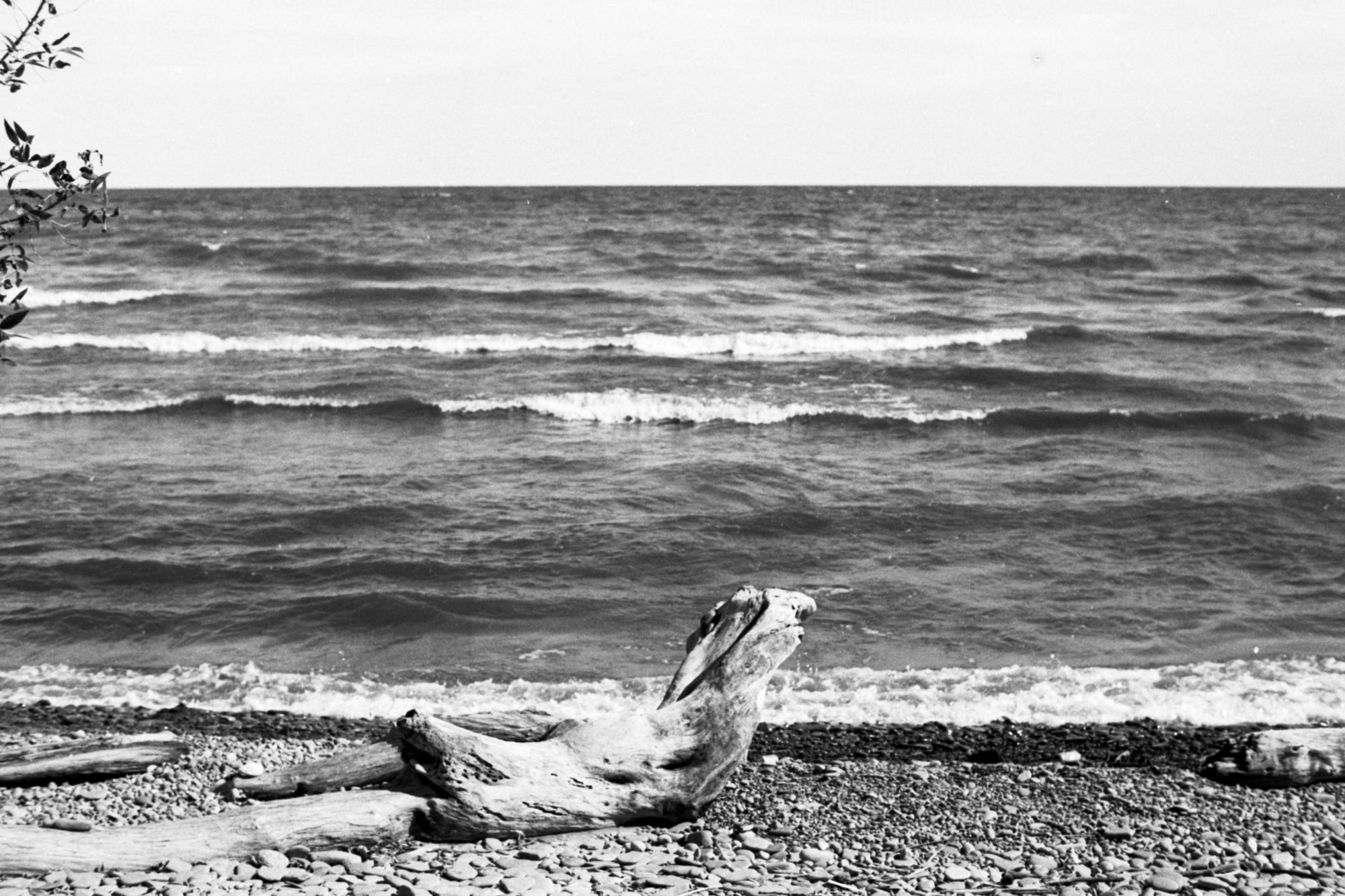 Rediscovering Efke KB 100: Shooting a Classic Film with the Nikkormat FTN