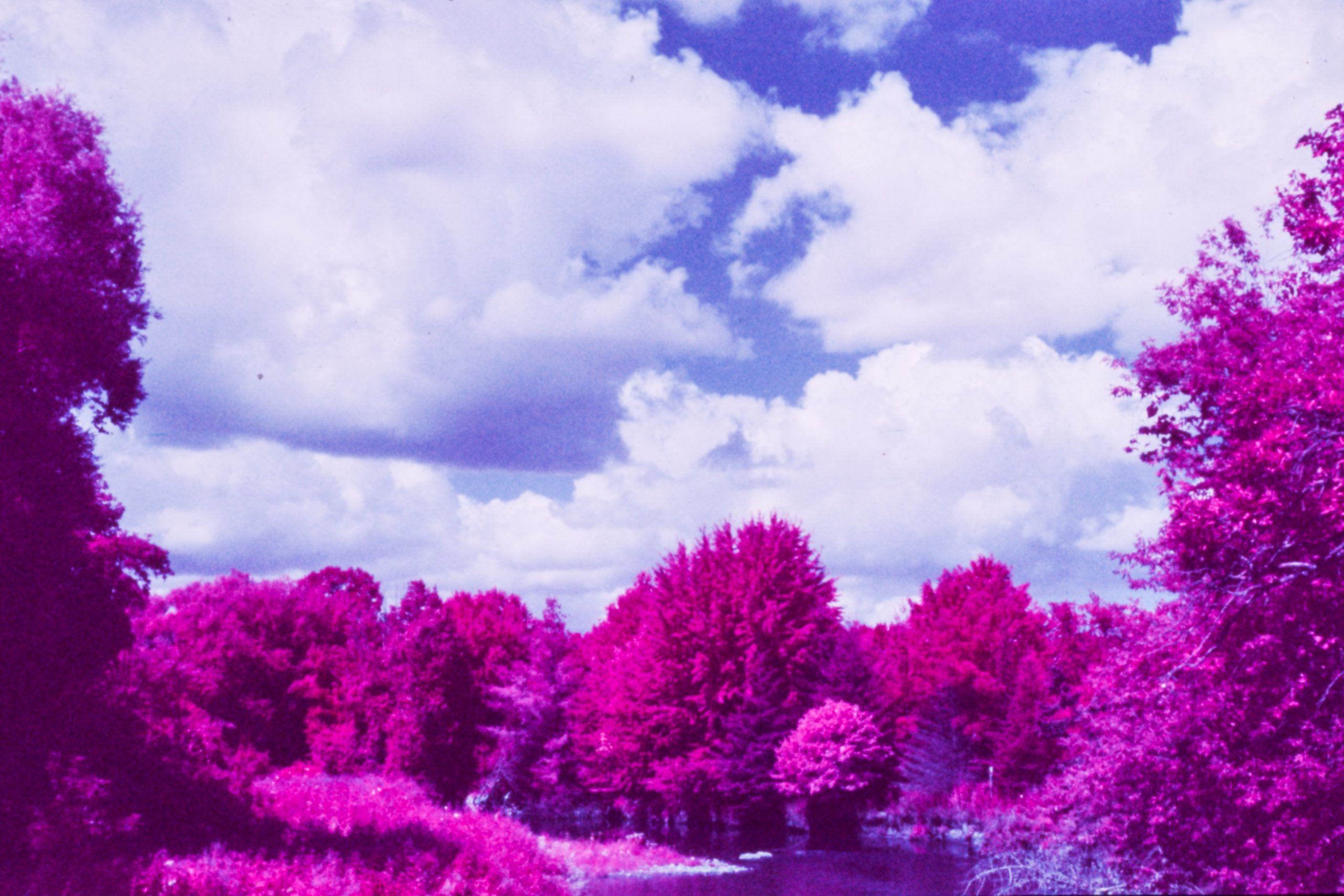 Shooting Kodak EIR: Exploring the Surreal World